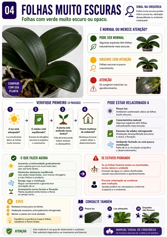 Ficha visual de orquídea