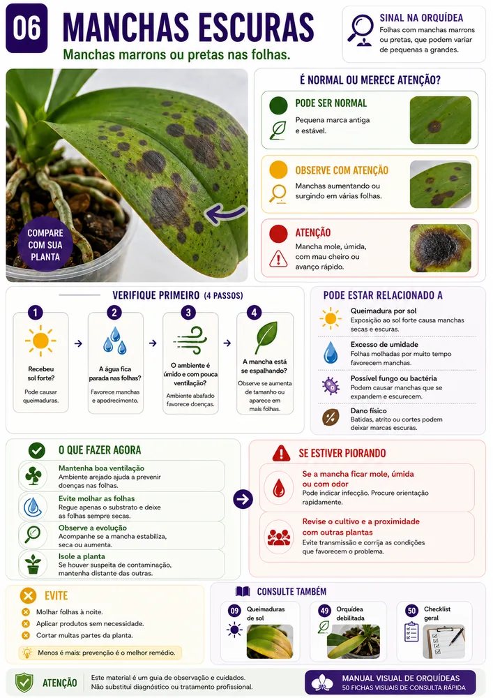 Ficha visual de orquídea