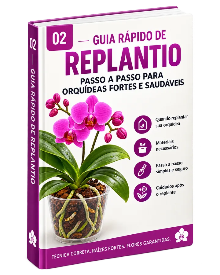 Guia Rápido de Replantio