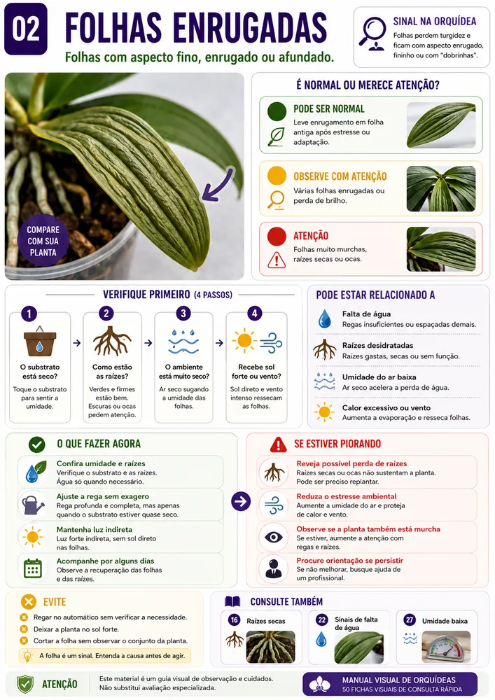 Ficha visual de orquídea