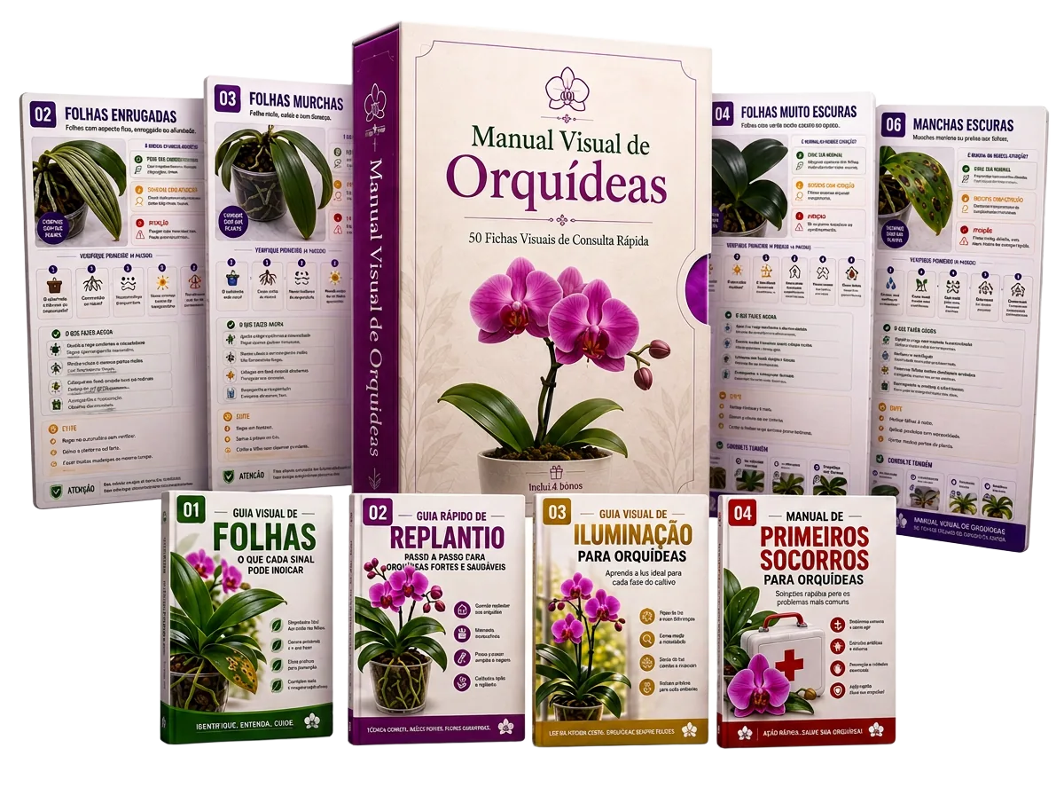 Manual Visual de Orquídeas com as 50 fichas e os 4 bônus