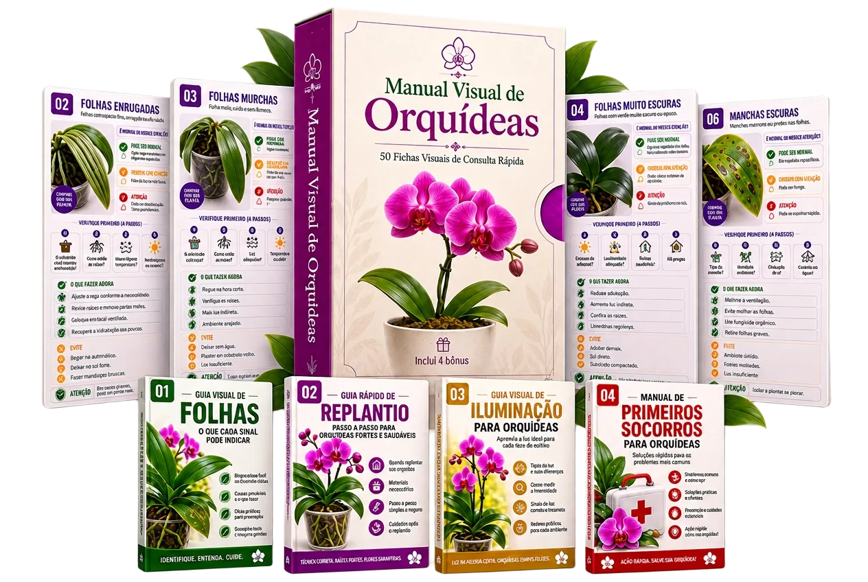 Manual Visual de Orquídeas