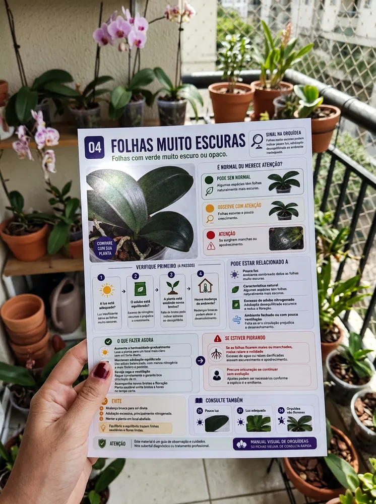 Ficha impressa segurada diante de orquídeas